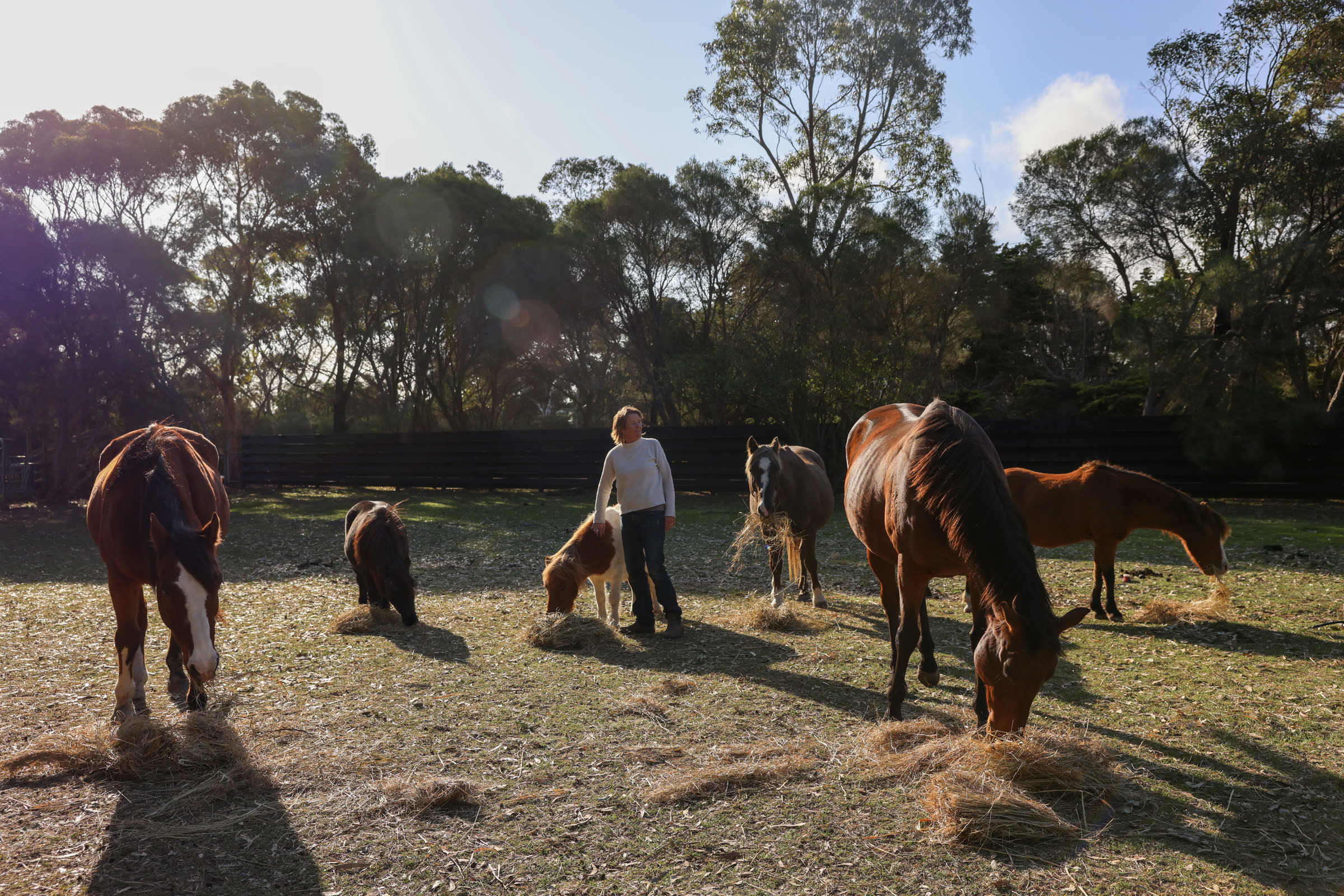 Anna with the therapy herd at Yoga Farm 3217 &mdash; equine assisted therapy, Surf Coast Victoria